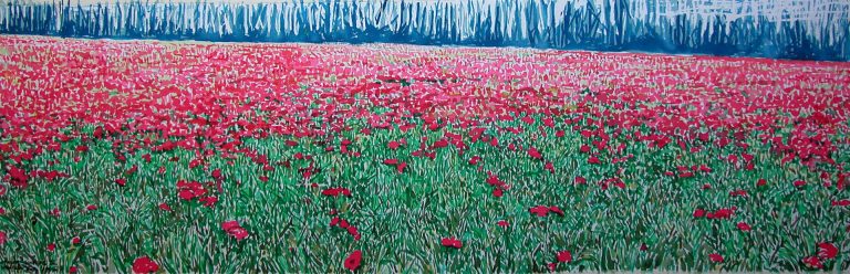 Amapolas